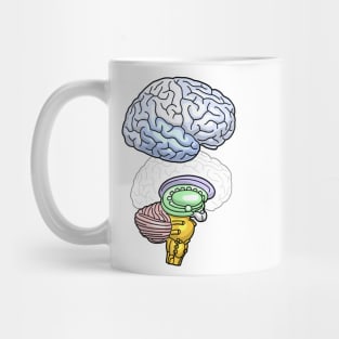 Human Brain Anatomy Illustration Mug